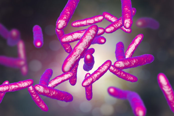 Microbiote intestinal et lien avec le Covid-19 123RF ©