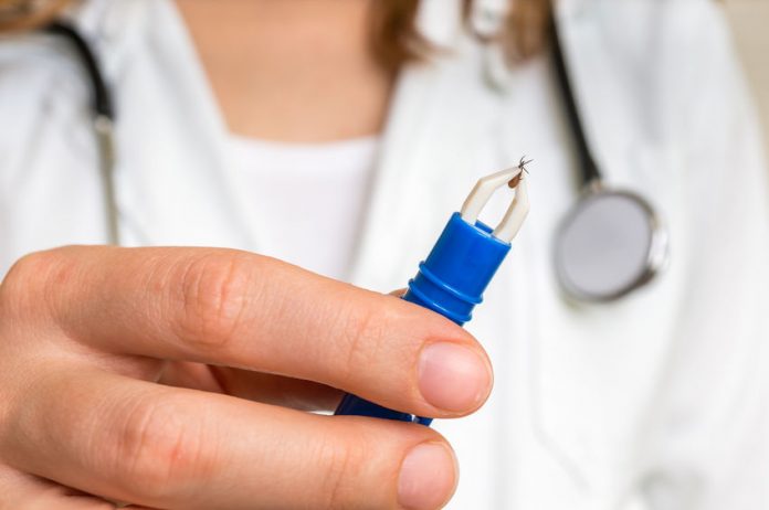 Hausse des cas de maladie de Lyme en 2018 - crédit photo : 123 RF Hausse des cas de maladie de Lyme en 2018