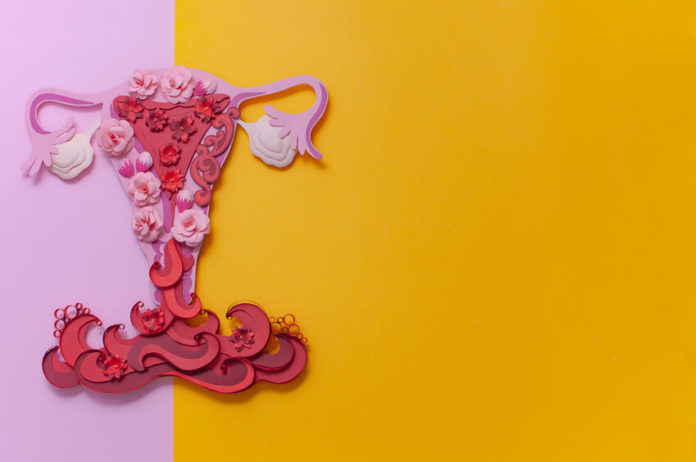 Utérus stylisé sur fond rose et jaune