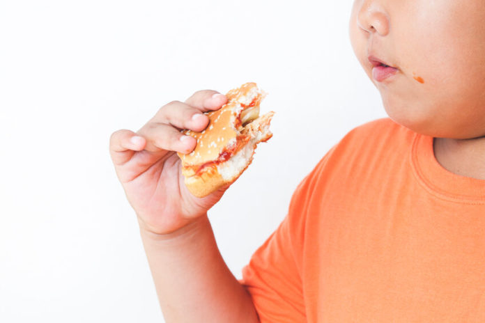 Jeune garçon obèse mangeant un handburger
