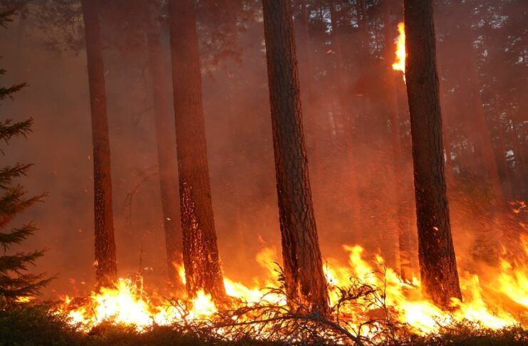 Incendies : quelles conséquences sur la santé ?