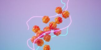 Peptides sur Internet : alerte de l’Agence du médicament