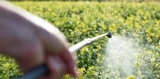 Pesticides : le mouvement social vent debout contre la loi d’urgence agricole La principale inquiétude de la loi d'urgence agricole concerne la possibilité de réintroduire deux substances interdites en France depuis 2018 : l’acétamipride et le flupyradifurone. © 123 RF