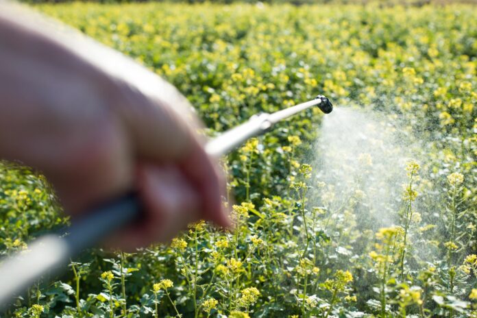 La principale inquiétude de la loi d'urgence agricole concerne la possibilité de réintroduire deux substances interdites en France depuis 2018 : l’acétamipride et le flupyradifurone. © 123 RF